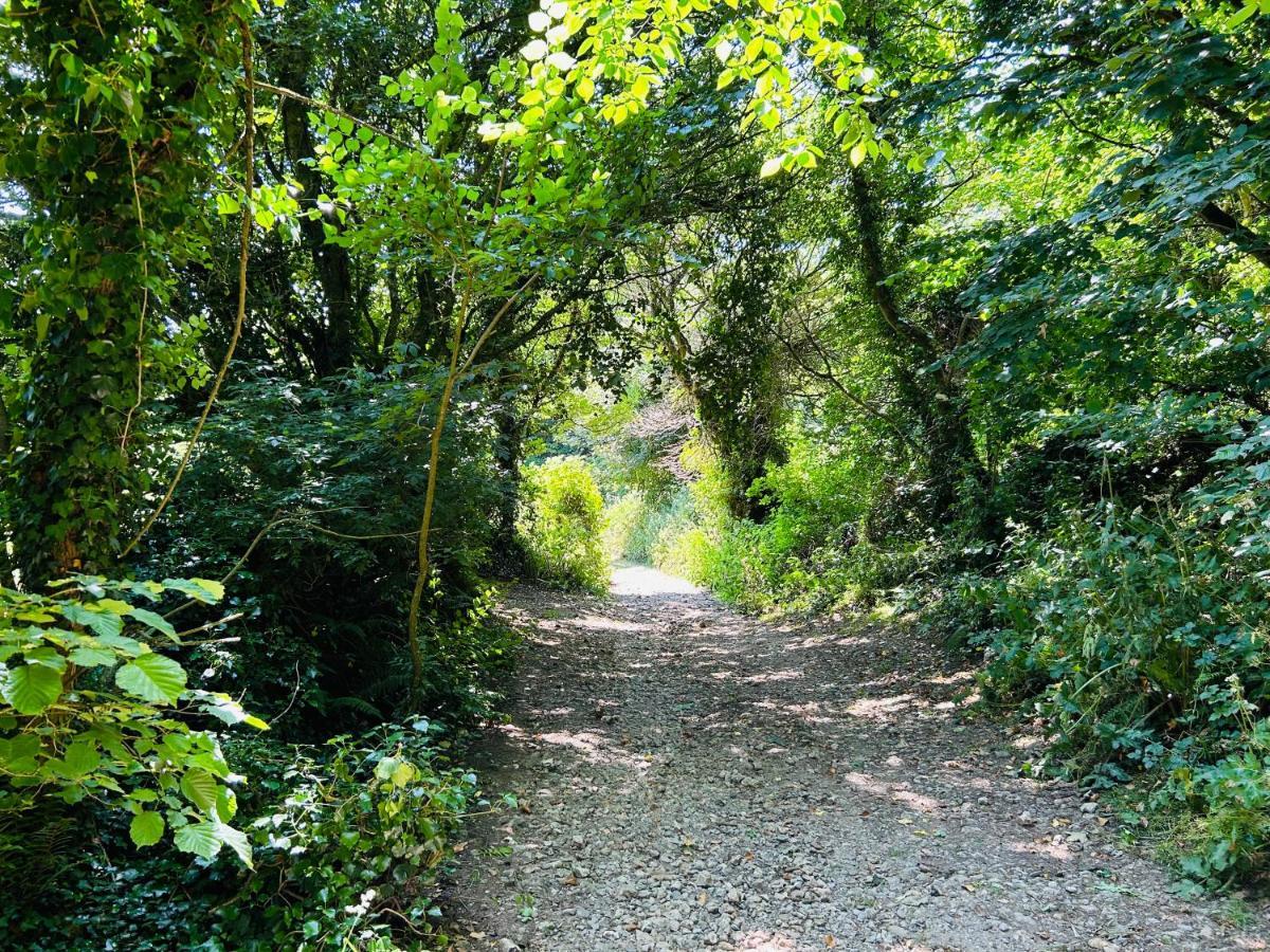 Kinetic Stays - Serenity Holiday Cottages Sidmouth Exteriör bild
