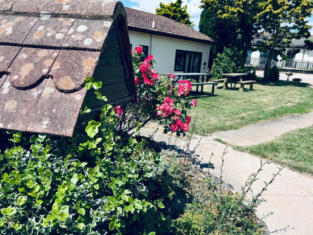 Kinetic Stays - Serenity Holiday Cottages Sidmouth Exteriör bild